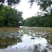 BHAWAL NATIONAL PARK 03